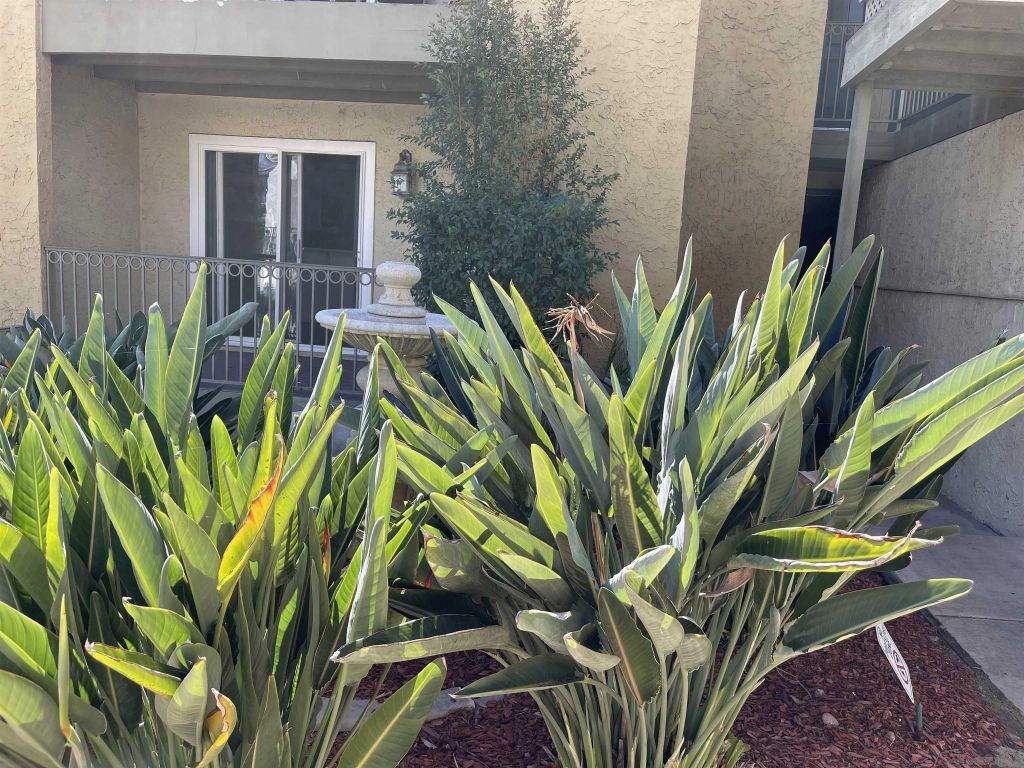 4013 Oakcrest Dr 3, San Diego, CA 92105