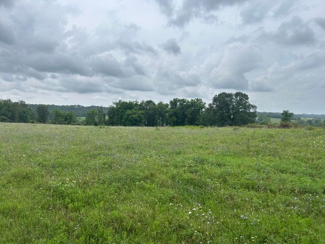 000 E Highway 14 Private Drive A, Ava, MO 65608