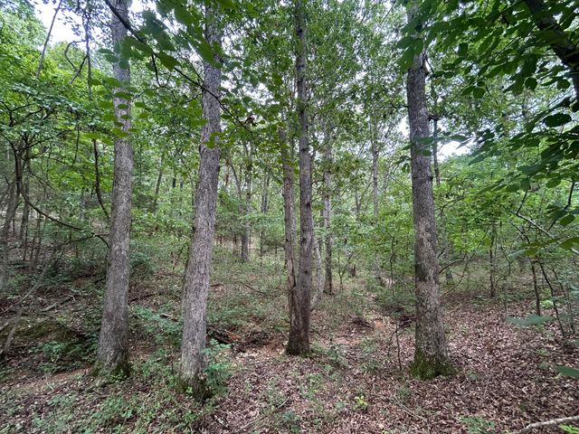 000 E Highway 14 Private Drive A, Ava, MO 65608