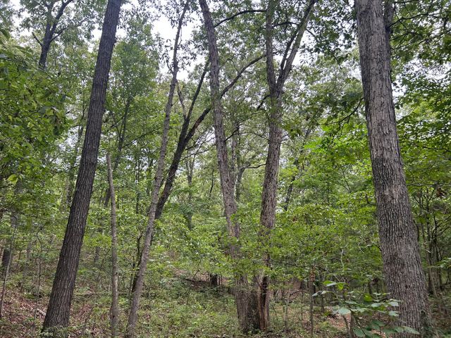 000 E Highway 14 Private Drive A, Ava, MO 65608