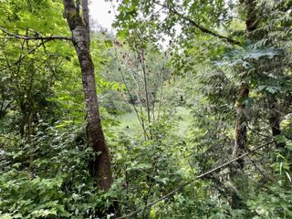 0 196th Avenue E, Orting, WA 98360