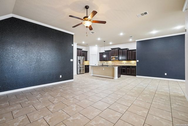 707 Gold Beauty, San Antonio, TX 78245