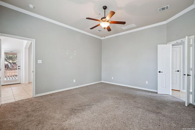 707 Gold Beauty, San Antonio, TX 78245