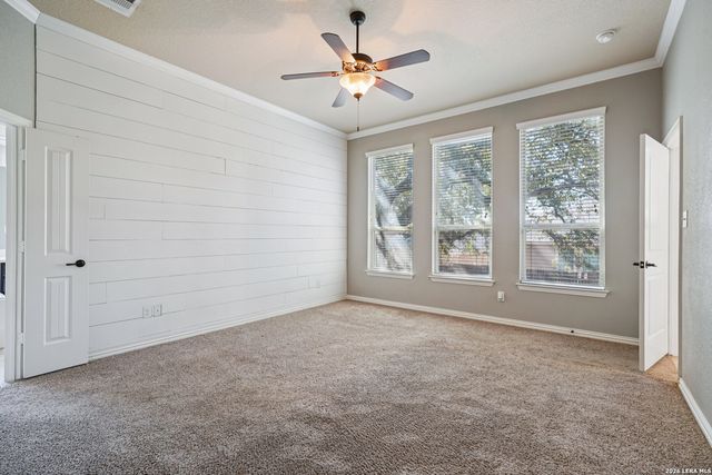 707 Gold Beauty, San Antonio, TX 78245