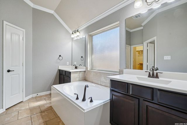 707 Gold Beauty, San Antonio, TX 78245