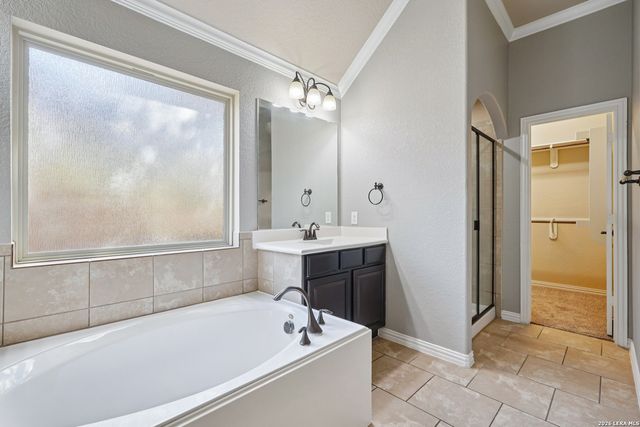 707 Gold Beauty, San Antonio, TX 78245