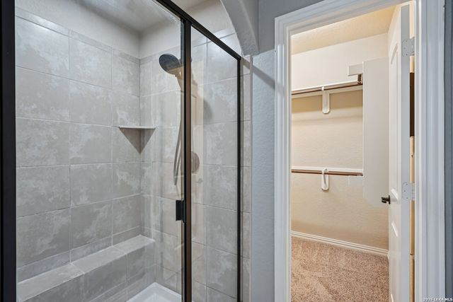 707 Gold Beauty, San Antonio, TX 78245