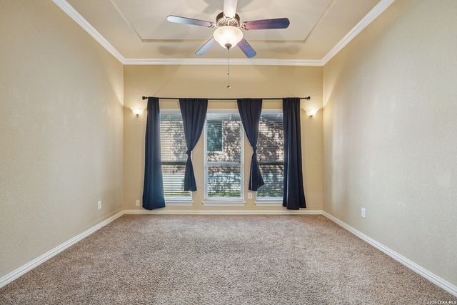 707 Gold Beauty, San Antonio, TX 78245