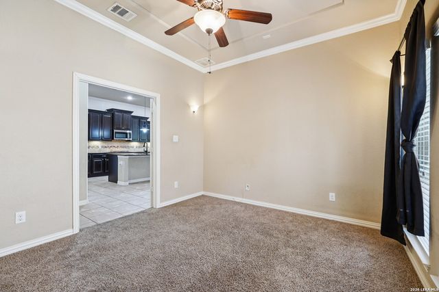 707 Gold Beauty, San Antonio, TX 78245