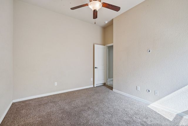 707 Gold Beauty, San Antonio, TX 78245