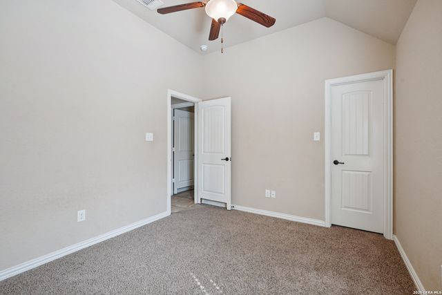 707 Gold Beauty, San Antonio, TX 78245