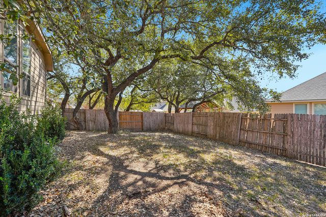 707 Gold Beauty, San Antonio, TX 78245