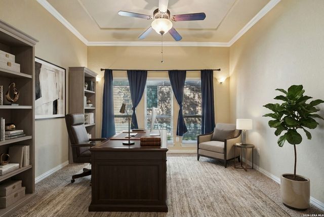 707 Gold Beauty, San Antonio, TX 78245