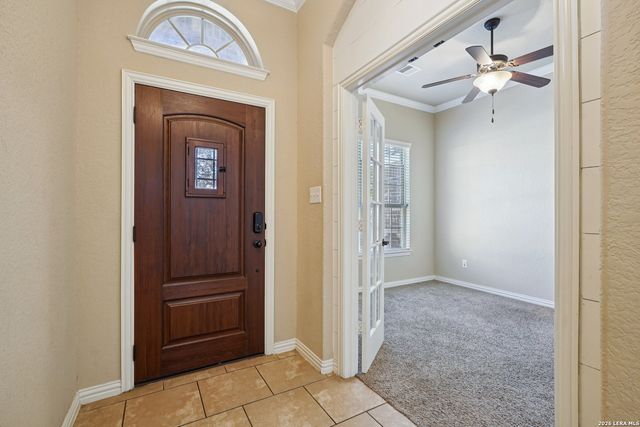 707 Gold Beauty, San Antonio, TX 78245