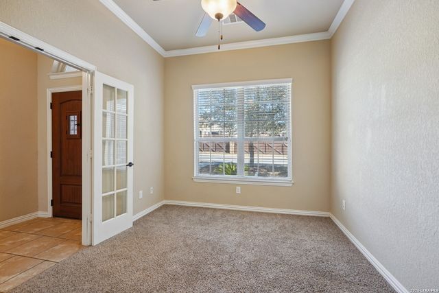 707 Gold Beauty, San Antonio, TX 78245