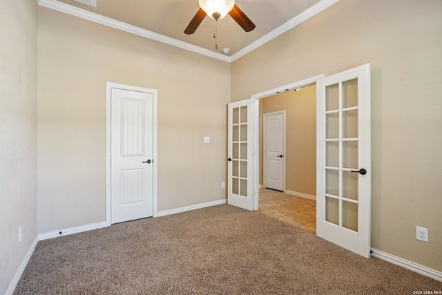 707 Gold Beauty, San Antonio, TX 78245