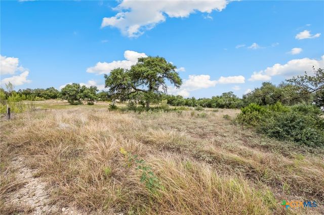 1230 Alsace, New Braunfels, TX 78132