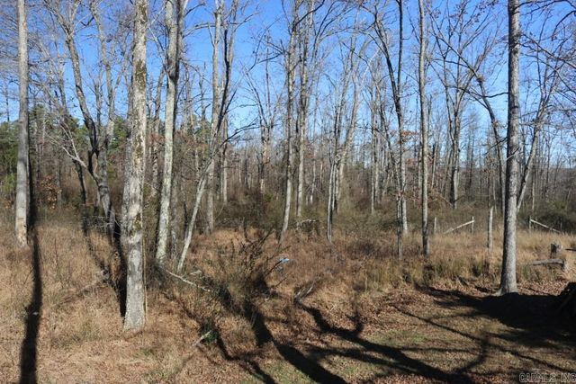 660 Prince Loop, Mountain View, AR 72560