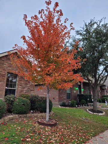 2121 Colby Lane, Wylie, TX 75098