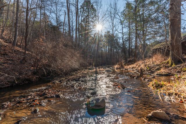 6102 Jennings Creek RD, Buchanan, VA 24066