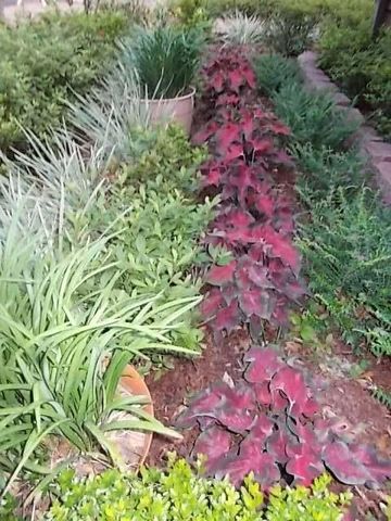 137 Woodbine Circle, Fort Walton Beach, FL 32548