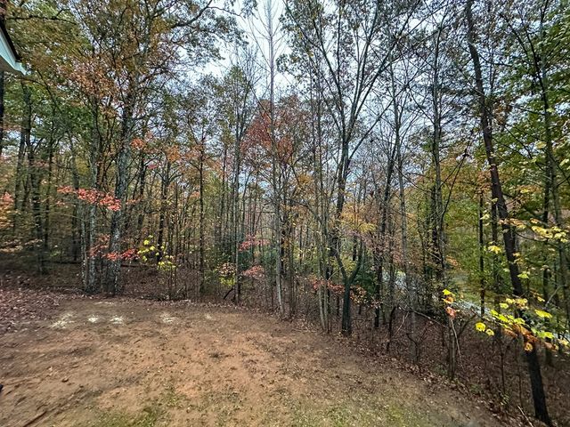 600 Indian Trail, Mccaysville, GA 30555