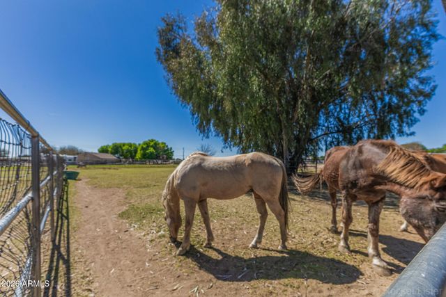 7040 N 177TH Avenue, Waddell, AZ 85355