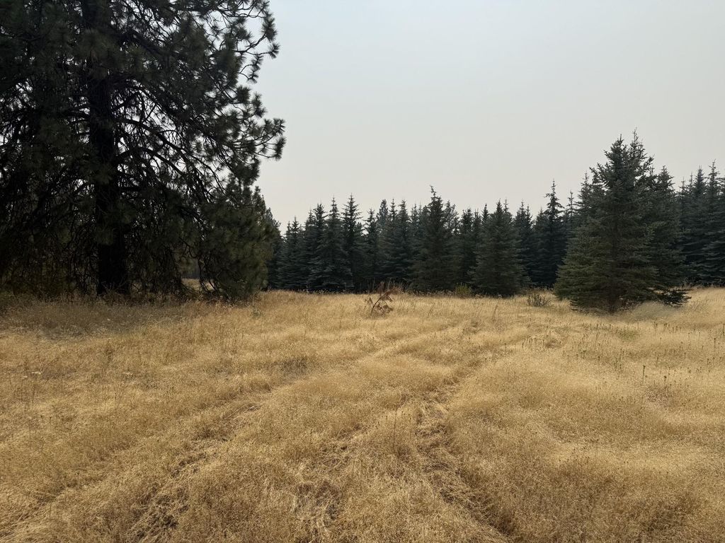 119XX S Spruce Tree Ln, Mica, WA 99023 photo 1