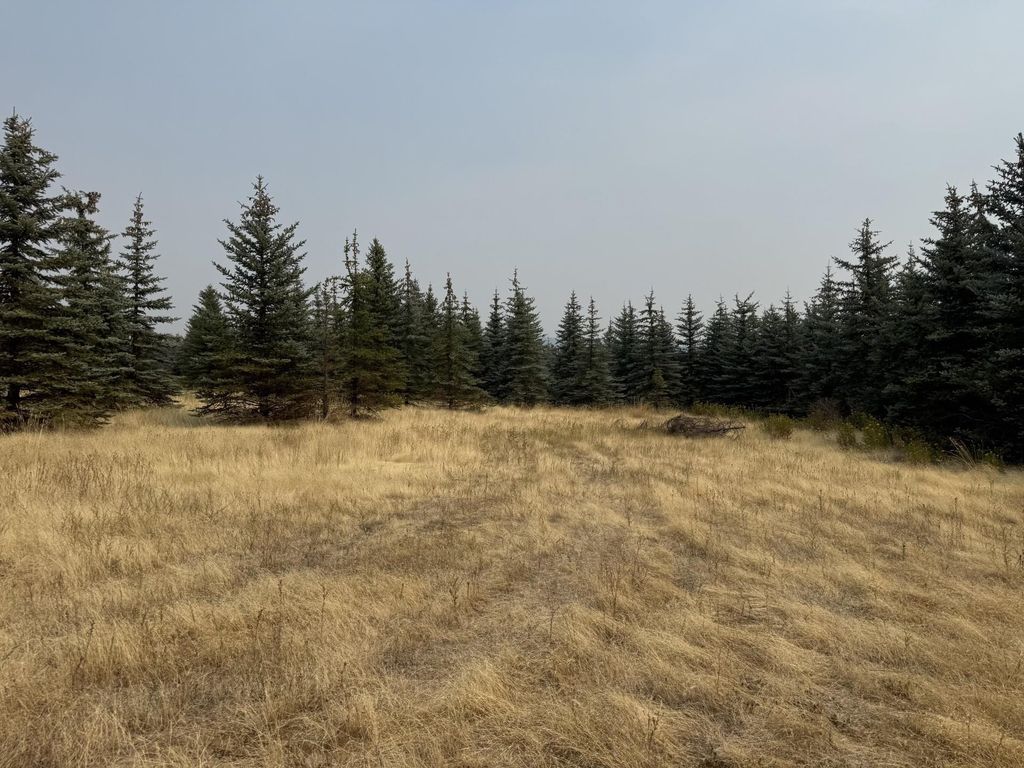 119XX S Spruce Tree Ln, Mica, WA 99023 photo 2