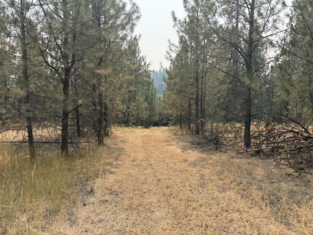 119XX S Spruce Tree Ln, Mica, WA 99023 photo 3