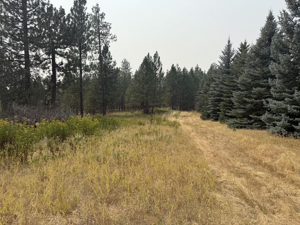 119XX S Spruce Tree Ln, Mica, WA 99023 photo 4