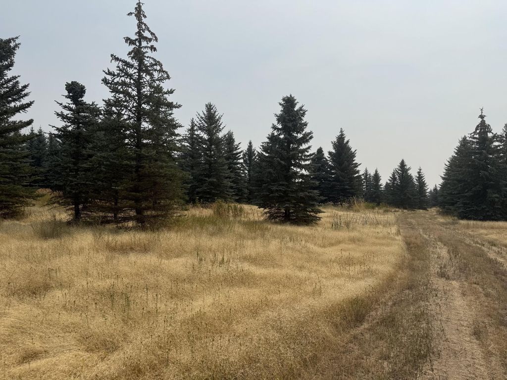 119XX S Spruce Tree Ln, Mica, WA 99023 photo 5