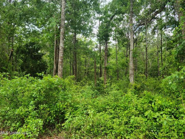 00 Fountainbleau Road, Ocean Springs, MS 39564