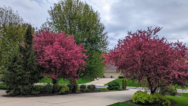 5654 Cobblestone Lane, Waunakee, WI 53597