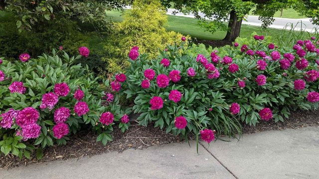 5654 Cobblestone Lane, Waunakee, WI 53597