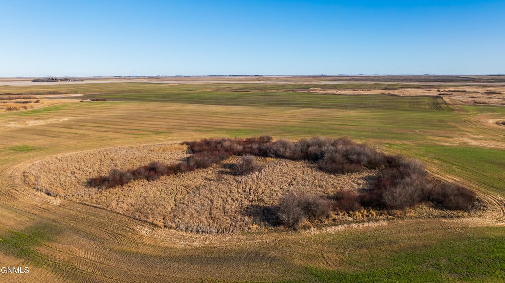 Tbd 95 St Ne Parcel 3, Rolla, ND 58367 photo 9