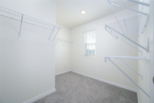 1265 NW 248TH DRIVE, Newberry, FL 32669