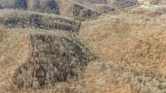 9999 Honeycutt Branch Turkey Creek, Barbourville, KY 40906