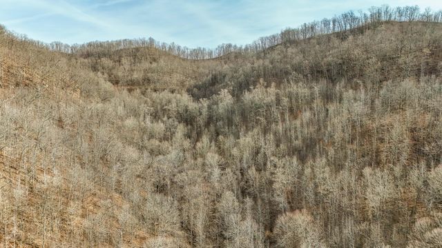 9999 Honeycutt Branch Turkey Creek, Barbourville, KY 40906