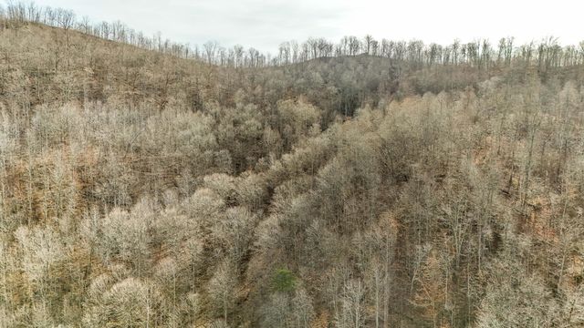 9999 Honeycutt Branch Turkey Creek, Barbourville, KY 40906