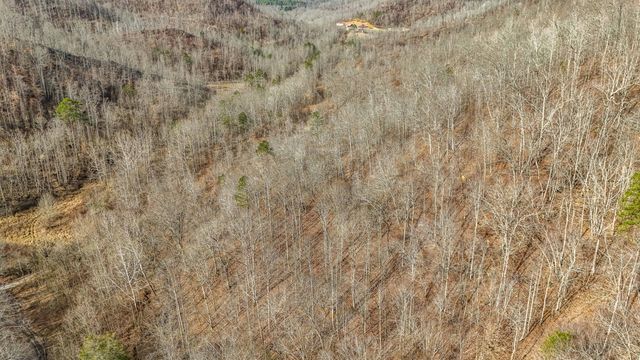 9999 Honeycutt Branch Turkey Creek, Barbourville, KY 40906