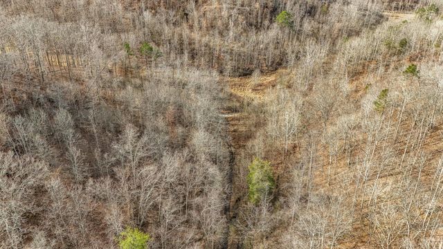 9999 Honeycutt Branch Turkey Creek, Barbourville, KY 40906