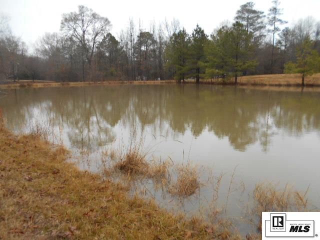16840 VIOLA CARROLL ROAD, Bastrop, LA 71220