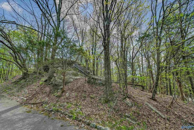27 Asbury Road SE, Huntsville, AL 35801