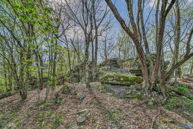 27 Asbury Road SE, Huntsville, AL 35801