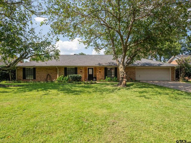 519 Sunnyside Dr, Chandler, TX 75758