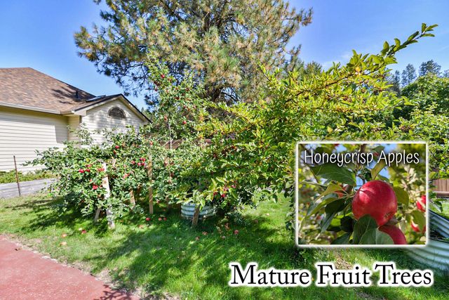 4230 S Evergreen Rd, Spokane Valley, WA 99037