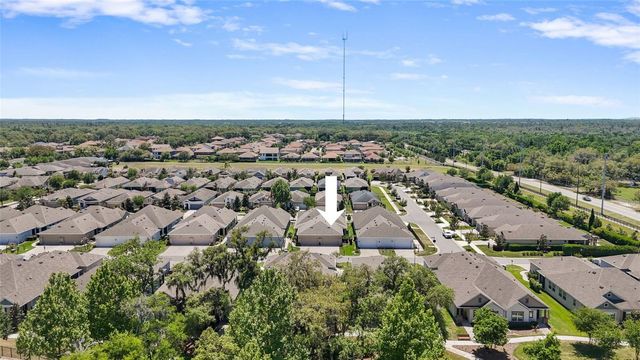 13890 KINGFISHER GLEN DRIVE, Lithia, FL 33547