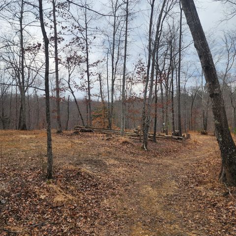 584 Back Bone Rd, Sparta, TN 38583