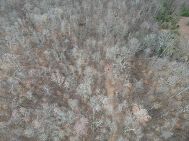 584 Back Bone Rd, Sparta, TN 38583